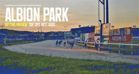 albion park greyhound fields|Albion Park Greyhound Form Guide & Fields .